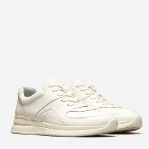 Everlane The Trainer sneaker